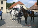 Polizei_5
