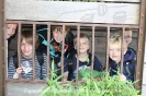 Zoo Hannover_1