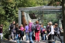 Zoo Hannover_4