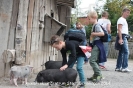Zoo Hannover_7