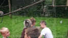 Serengetipark_12