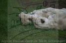 Serengetipark_27