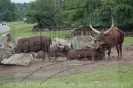 Serengetipark_31