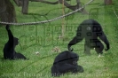Serengetipark_32