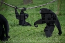 Serengetipark_33