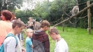 Serengetipark_34