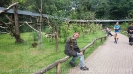 Serengetipark_39