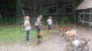 07.05 Serengetipark