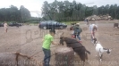 Serengetipark_5