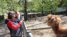 Klettern und Tiergarten Halberstadt_41