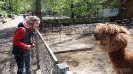 Klettern und Tiergarten Halberstadt_42