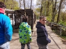 Klettern und Tiergarten Halberstadt_43