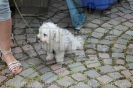 Kinderfest_28