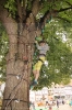 Kinderfest_47