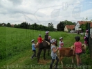 Pony Tag_11