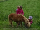 Pony Tag_15