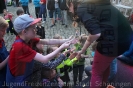 Open Air Kino - Pets_41