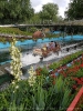 Rastiland_31