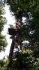 Kletterwald Thale_7