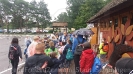 Serengetipark_15