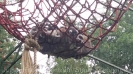 Serengetipark_17