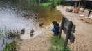 Serengetipark_18
