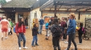 Serengetipark_22