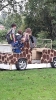 Serengetipark_31