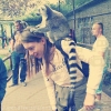 Serengetipark_32