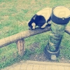 Serengetipark_35