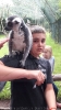 Serengetipark_36