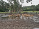 Serengetipark_38