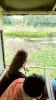 Serengetipark_3