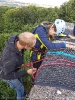 Heesebergturm_39