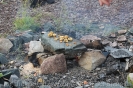 Essen wie in der Steinzeit_43