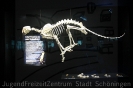 Unter Raubtieren_13