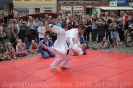 26.08 Altstadtfest_11