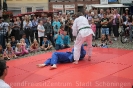 26.08 Altstadtfest_16