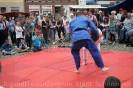26.08 Altstadtfest_20