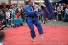 26.08 Altstadtfest_26