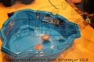 Beyblade Turnier_16